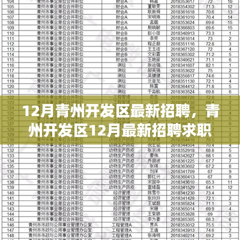青州開發(fā)區(qū)12月最新招聘求職全流程指南，從準備到面試成功的秘訣
