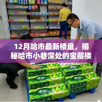 揭秘哈爾濱最新樓盤與小巷寶藏，特色樓盤與小店獨特魅力探秘