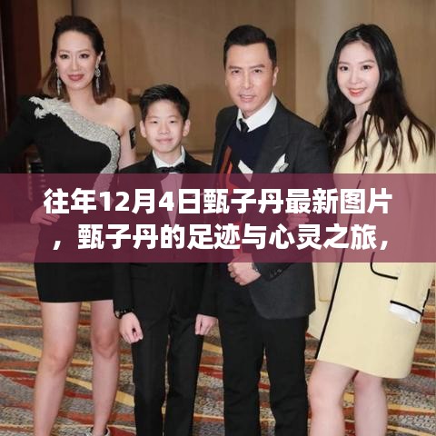甄子丹足跡與藝術(shù)之旅，探尋自然美景與內(nèi)心平靜的藝術(shù)之旅（最新圖片）