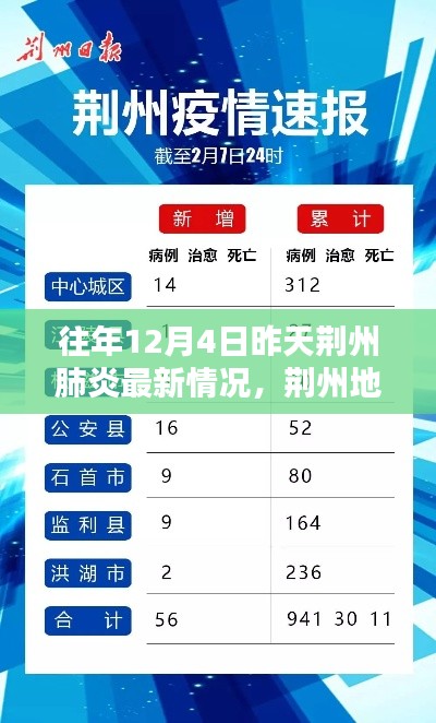 荊州地區(qū)往年12月4日昨日肺炎最新情況回顧與影響分析，回顧與啟示