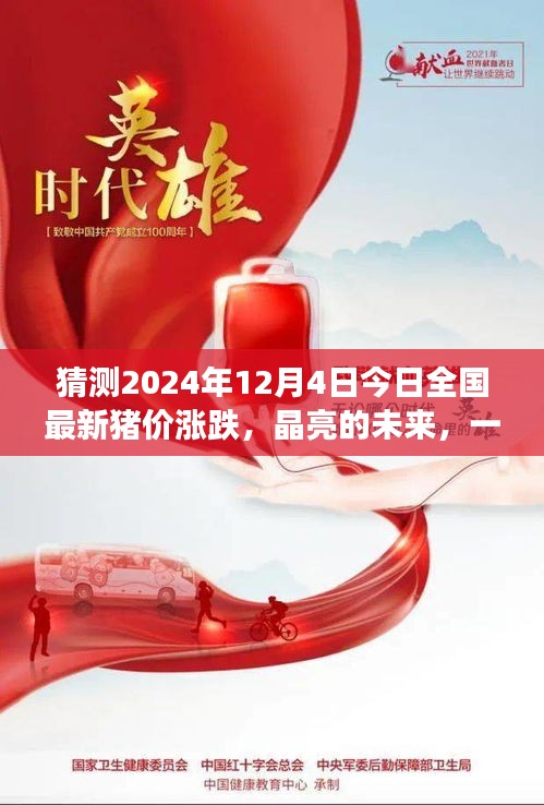 晶亮未來展望，2024年12月4日全國豬價漲跌預(yù)測之旅