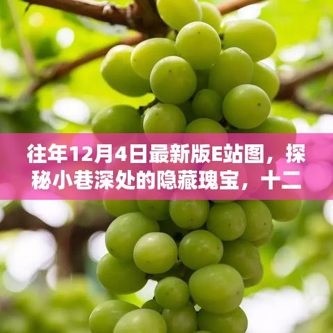 探秘十二月最新版E站圖，小巷深處的隱藏瑰寶與創(chuàng)意空間