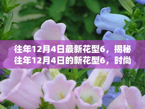 揭秘往年12月4日新花型6，時尚變遷與流行趨勢深度解讀