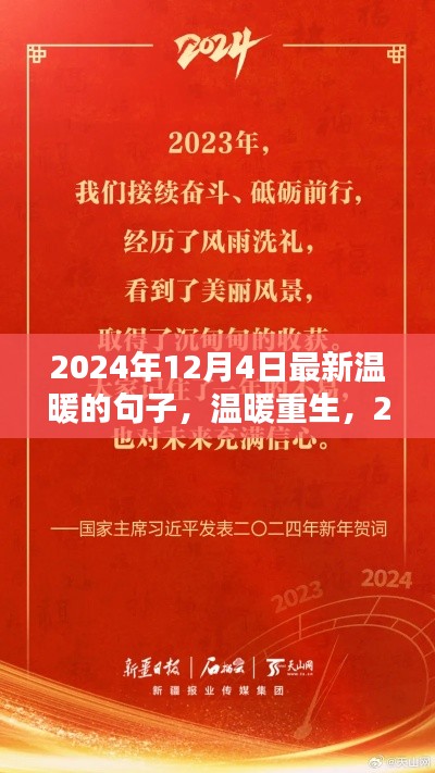 溫暖重生，2024年12月4日的語言之光與情感暖流