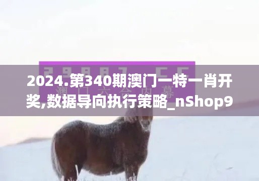 2024.第340期澳門一特一肖開獎(jiǎng),數(shù)據(jù)導(dǎo)向執(zhí)行策略_nShop9.428