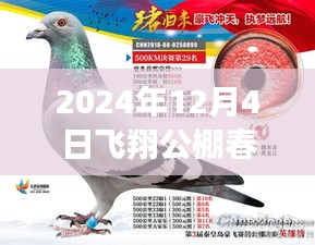 揭秘最新公告，飛翔公棚春棚更新動(dòng)態(tài)，關(guān)注所有你關(guān)心的內(nèi)容