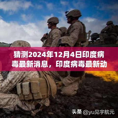 2024年12月4日印度病毒最新動(dòng)態(tài)與預(yù)測(cè)洞察