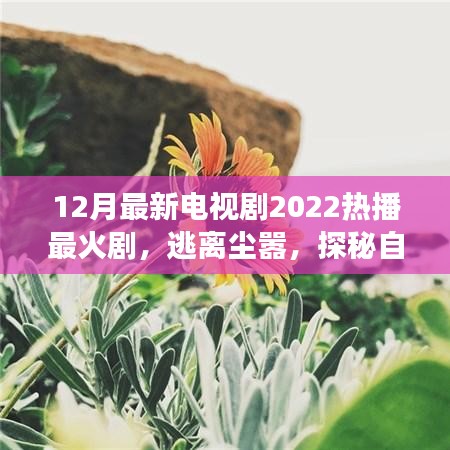 心靈之旅，逃離塵囂，探秘自然美景——2022年熱播電視劇最新盤點