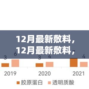 12月最新敷料革新與應(yīng)用，深度探討與解讀