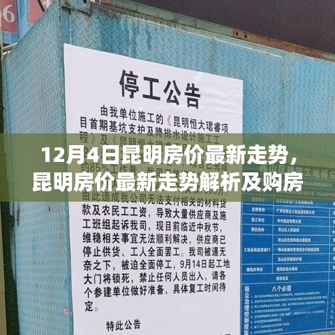 昆明房?jī)r(jià)最新走勢(shì)解析，初學(xué)者與進(jìn)階用戶的購(gòu)房指南（12月4日更新）