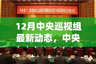 中央巡視組最新動態(tài)，深化黨內(nèi)監(jiān)督，聚焦巡視成果，以最新一輪巡視為例