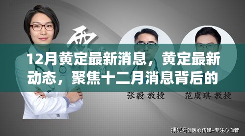 揭秘十二月黃定最新動(dòng)態(tài)，多維度解讀最新消息背后的真相