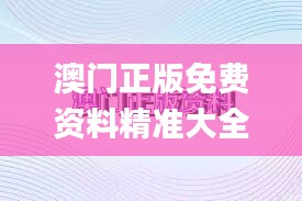 澳門正版免費資料精準大全341期,高效性實施計劃解析_Pixel19.615