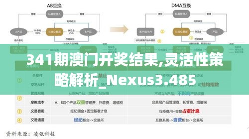 341期澳門(mén)開(kāi)獎(jiǎng)結(jié)果,靈活性策略解析_Nexus3.485