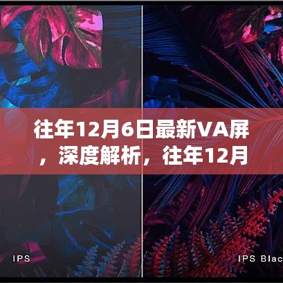 往年12月6日最新VA屏深度解析，表現(xiàn)如何？