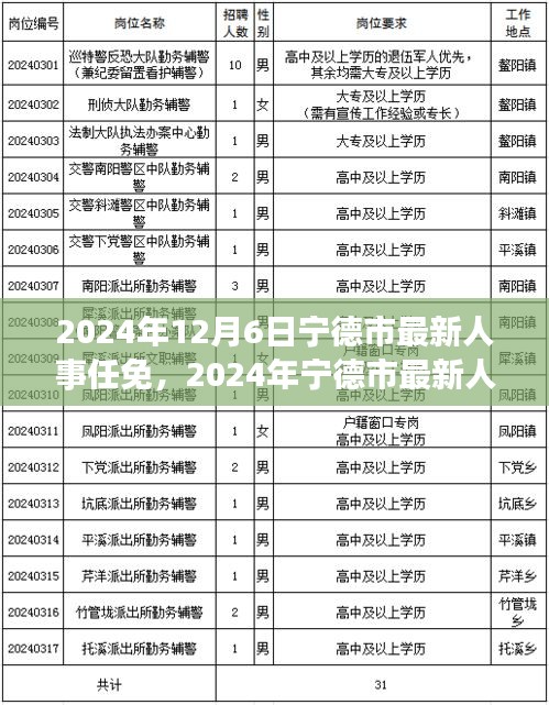 2024年寧德市人事任免信息解讀與操作指南，初學者與進階用戶必讀