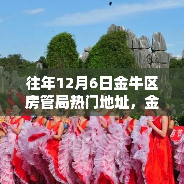 金牛區(qū)房管局，探秘家的故事與往年熱門地址回顧