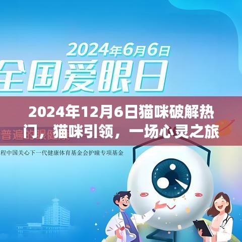 貓咪引領(lǐng)的心靈之旅，熱門貓咪時(shí)光探索記
