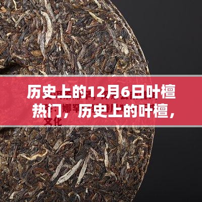 葉檀，歷史上的傳奇人物與熱門話題，12月6日的獨特印記回顧