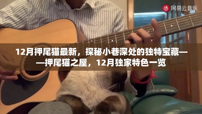 探秘押尾貓之屋，小巷深處的獨特寶藏，揭秘十二月獨家特色