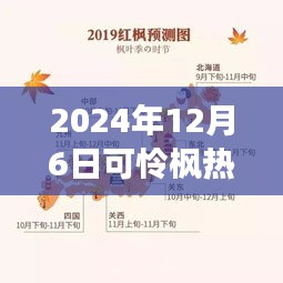 紀(jì)念特殊時(shí)刻，可憐楓熱背后的故事與影響——2024年12月6日時(shí)光印記