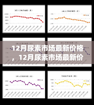 多方觀點碰撞與個人立場，12月尿素市場最新價格及走勢分析