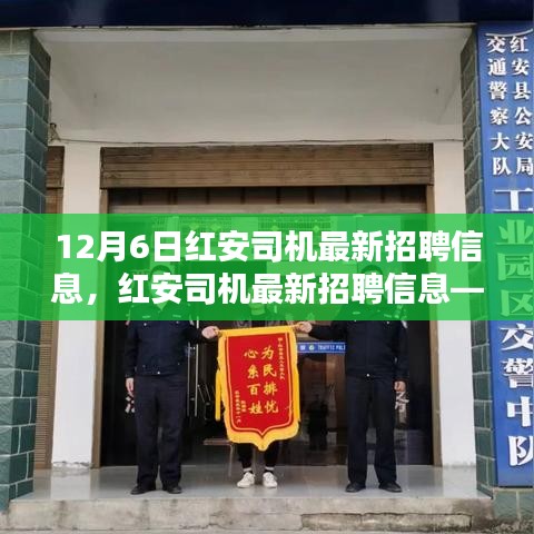 紅安司機(jī)最新招聘信息發(fā)布，求職要點(diǎn)解析與求職指南（12月6日更新）