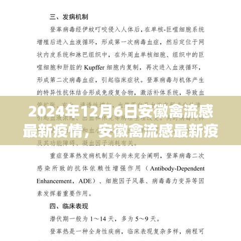 深度觀察，安徽禽流感最新疫情背景、進(jìn)展與影響分析（2024年12月6日）