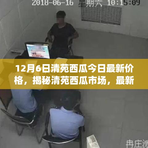 清苑西瓜最新價格動態(tài)及市場分析，揭秘市場趨勢（以12月6日數(shù)據(jù)為例）