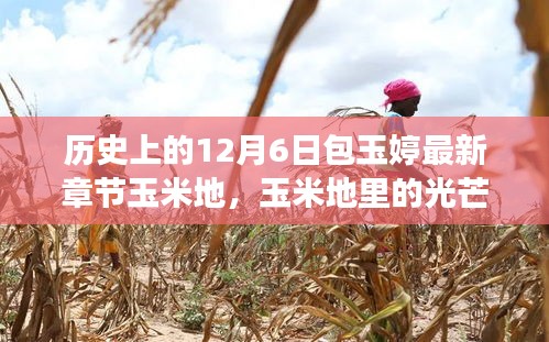 包玉婷的勵志人生，玉米地里的光芒與學(xué)習(xí)的力量，照亮人生旅途的篇章