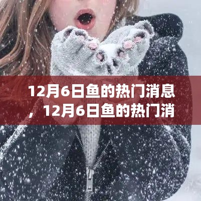 深度解析，揭秘12月6日魚的熱門消息背后的觀點(diǎn)與立場(chǎng)