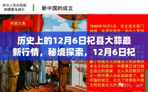 秘境探索，揭秘12月6日杞縣大蒜行情與小巷深處的蒜香特色小店