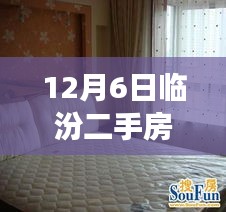 揭秘臨汾二手房市場(chǎng)，熱門房源探秘與小巷深處的隱藏寶藏