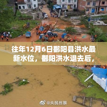 追尋內(nèi)心平靜的洪水退去之旅，鄱陽洪水最新水位報告
