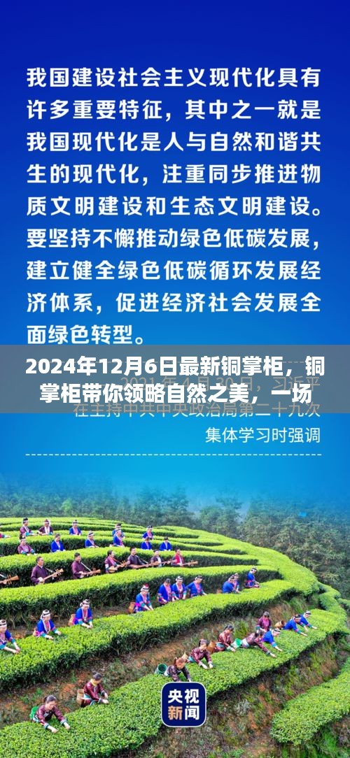 銅掌柜帶你領略自然之美，一場尋找內(nèi)心平靜的奇妙旅程（最新資訊）