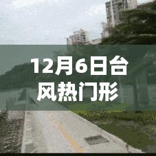 全面步驟指南，追蹤和理解12月6日臺(tái)風(fēng)熱門形成的胚胎過(guò)程