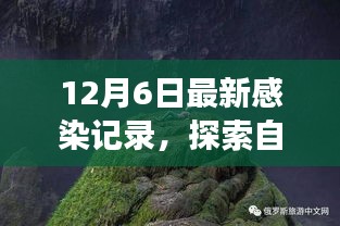 治愈感染之旅，探索自然美景與最新感染記錄揭秘