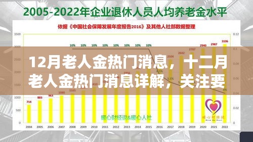 十二月老人金熱門消息詳解，關(guān)注要點、趨勢與科普全解析
