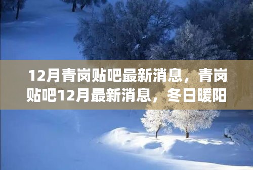 冬日暖陽下的青崗貼吧，最新消息與友情故事匯聚