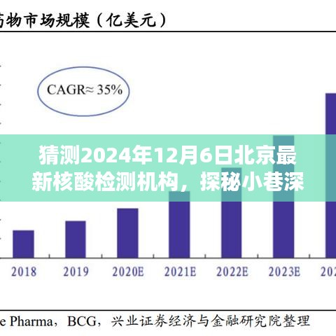 探秘北京隱藏版核酸檢測機(jī)構(gòu)，2024年12月6日最新核酸檢測寶藏揭秘