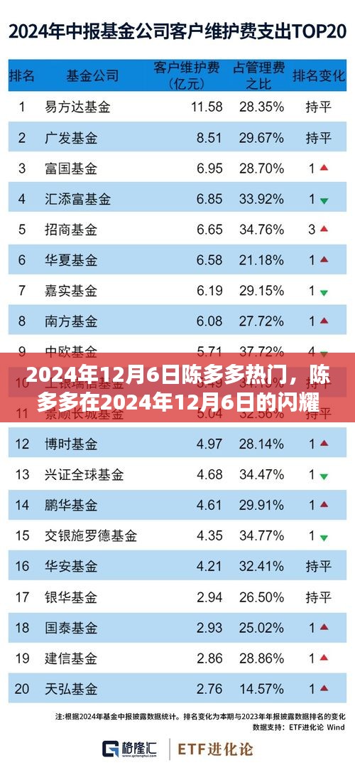 陳多多閃耀時(shí)刻，揭秘其在2024年12月6日的背后故事與熱門之路
