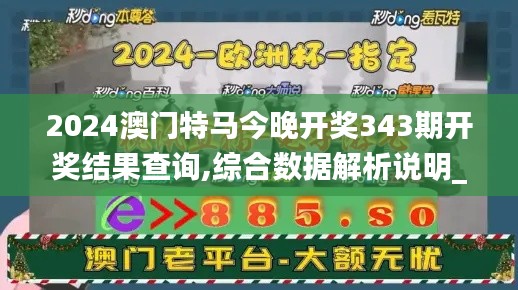 2024澳門特馬今晚開(kāi)獎(jiǎng)343期開(kāi)獎(jiǎng)結(jié)果查詢,綜合數(shù)據(jù)解析說(shuō)明_Kindle7.385