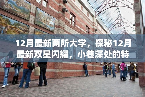 探秘最新雙星閃耀，揭秘十二月新大學(xué)與小巷特色小店中的隱藏時(shí)光