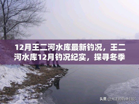 探尋冬季垂釣奧秘與魅力，王二河水庫12月釣況紀(jì)實(shí)