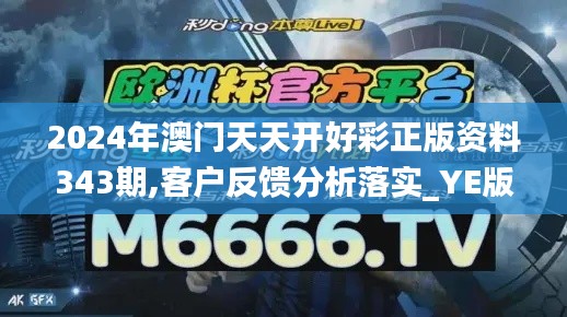 2024年澳門(mén)天天開(kāi)好彩正版資料343期,客戶(hù)反饋分析落實(shí)_YE版9.370