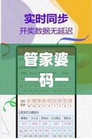 管家婆一碼一肖100準343期,理性解答解釋落實_UHD9.425