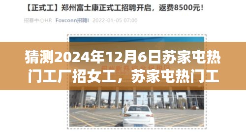 2024年蘇家屯工廠女工招聘趨勢展望，熱門工廠預(yù)測與女工需求猜測