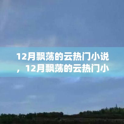 全面測(cè)評(píng)與介紹，12月飄蕩的云熱門(mén)小說(shuō)