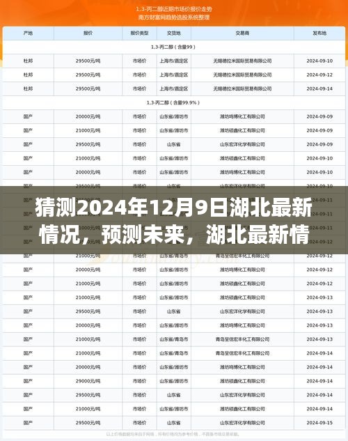湖北未來展望，以2024年12月9日觀察節(jié)點預測湖北最新情況展望
