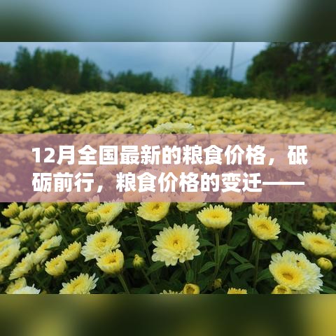 砥礪前行見證變遷，12月全國最新糧食價(jià)格及其背后的勵(lì)志故事。